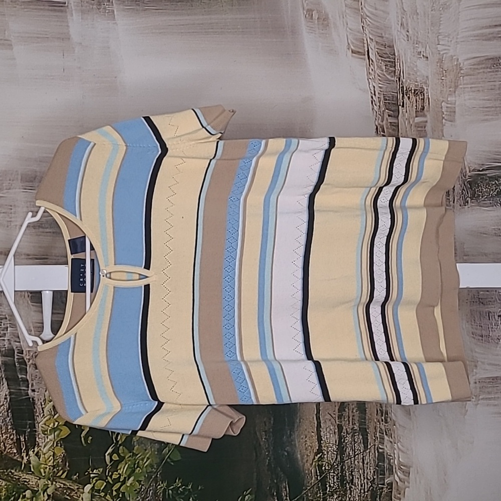 Crazy Horse Liz Claiborne Women XL striped short sleeve colorful Sweater top